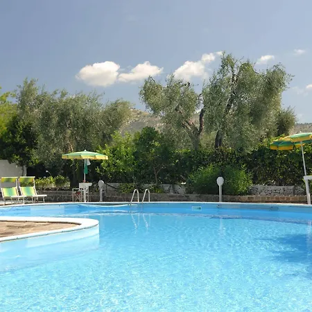 Apeneste Mattinata