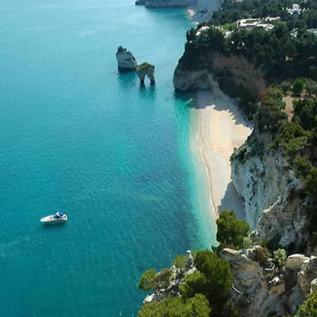 Apeneste Маттината