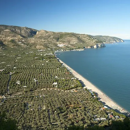 Apeneste Hotel 3*
